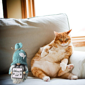 Cat Lover  Dwarf Home Decor Rustic  Dwarf