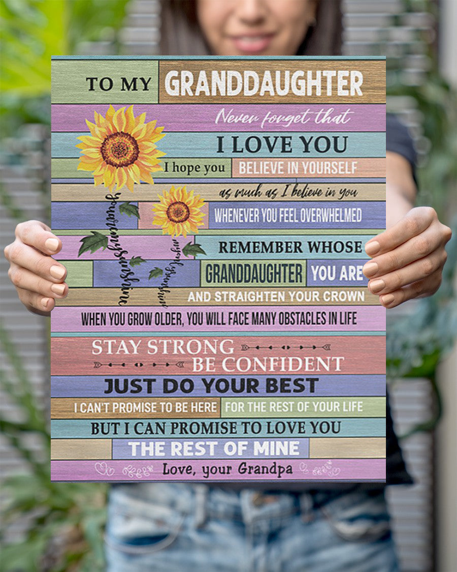 Never Forget That I Love You - Special Gift For Granddaughter Poster