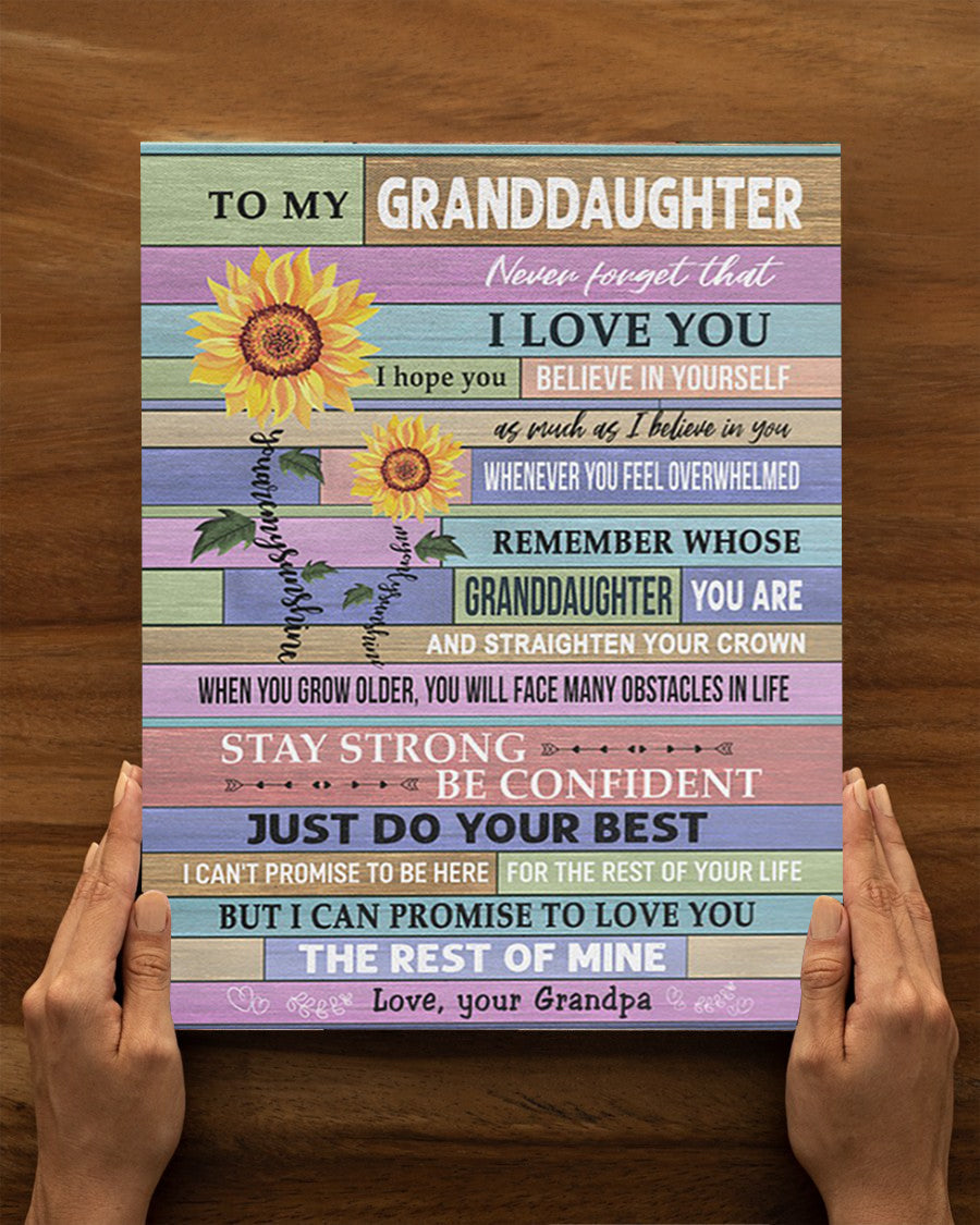 Never Forget That I Love You - Special Gift For Granddaughter Poster