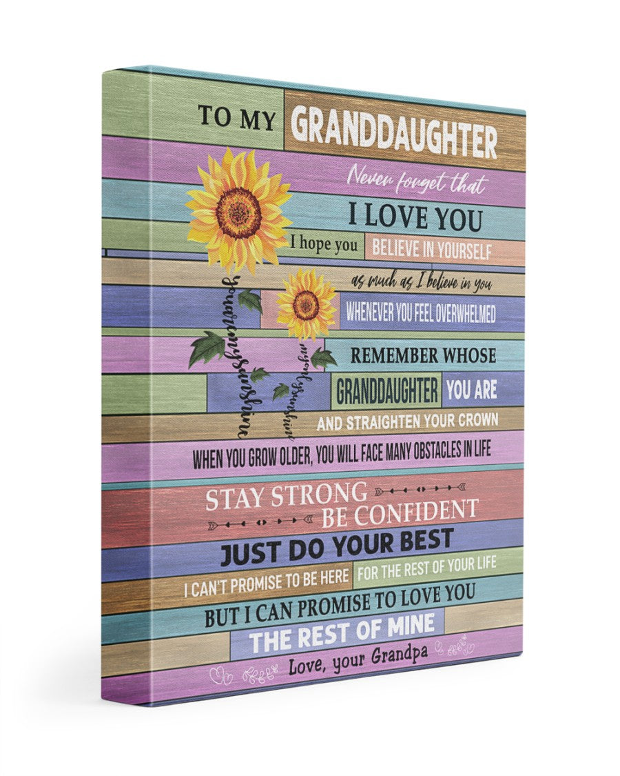 Never Forget That I Love You - Special Gift For Granddaughter Poster