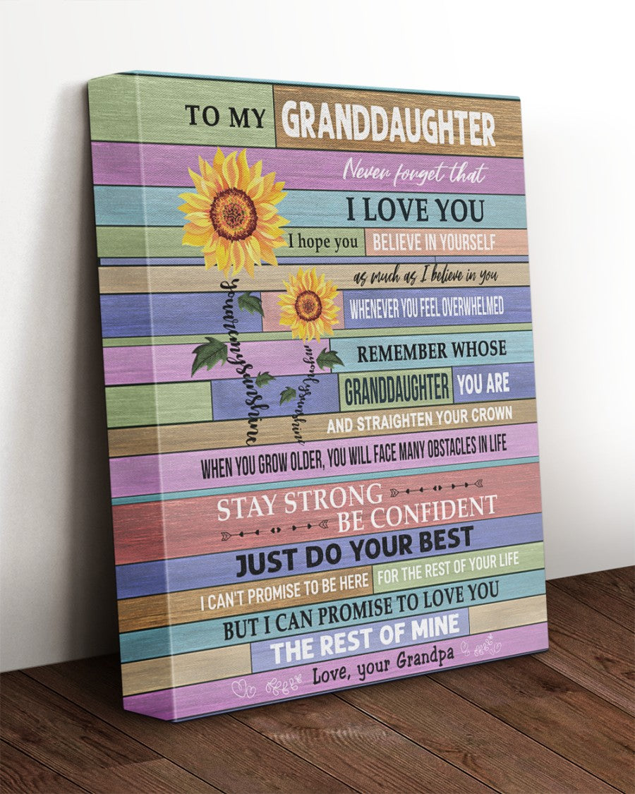 Never Forget That I Love You - Special Gift For Granddaughter Poster