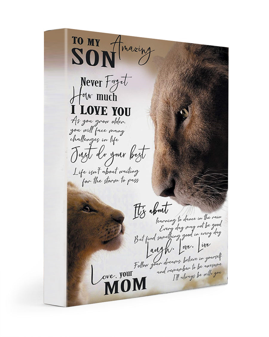 Lion to My Amazing Son Never Forget How Much I Love You Love Mom Postet