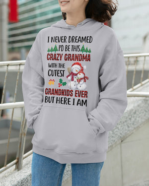 I Never Dreamed - Perfect Gift For Grandma Hooded Sweatshirt