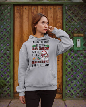 I Never Dreamed - Perfect Gift For Grandma Hooded Sweatshirt